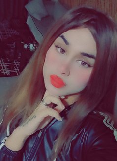 Lolo - Transsexual escort agency in Beirut Photo 2 of 7