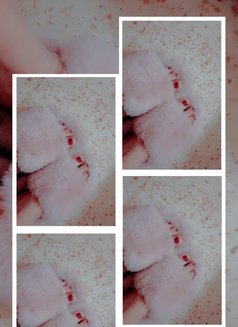 Lolo - Transsexual escort agency in Beirut Photo 5 of 7