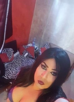 Lolo69sexs - Transsexual escort in Kuwait Photo 3 of 13