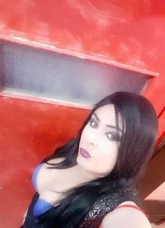 Lolo69sexs - Transsexual escort in Kuwait Photo 7 of 13