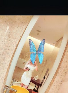 Lona Barbie🇱🇧 in Dubai - escort in Dubai Photo 7 of 9