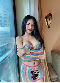 polly thai TS lovely sweet take care - Transsexual escort in Dubai Photo 20 of 24