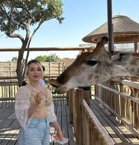 Looking for Premium Pune Russian Girls - puta in Pune