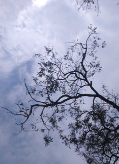 Looking for sugar mama - Male adult performer in Hyderabad Photo 1 of 1