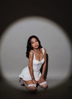 lovelyloona - Transsexual escort in Manila Photo 6 of 6