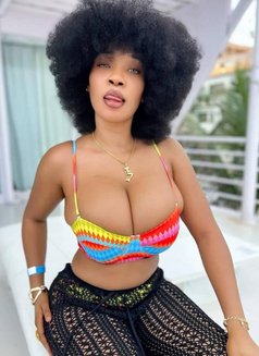 Lora - escort in Al Sohar Photo 1 of 2