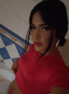LORENA TR ARRIVED A MALTA - Transsexual escort in Malta Photo 12 of 18