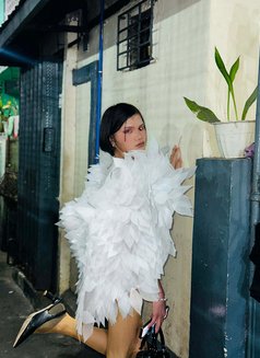 Loreyn - Transsexual escort in Manila Photo 3 of 3