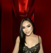 Lorita🇹🇭 First Day In Khobar🇸🇦 - Transsexual escort in Khobar Photo 4 of 8