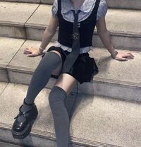 Loro - Transsexual escort in Doha