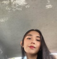 Lou Camshow/meet Up - Transsexual escort in Manila Photo 7 of 17