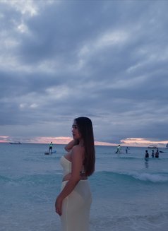 Lou Camshow/meet Up - Transsexual escort in Manila Photo 9 of 11