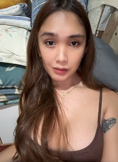 Lou Camshow/meet Up - Transsexual escort in Manila Photo 16 of 17