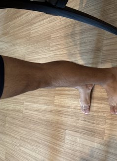 Louis - Acompañantes masculino in Bangkok Photo 1 of 2