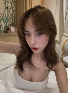 Louise BIG BUTT is NEW HERE!🫶🏻 - escort in Taipei Photo 11 of 12