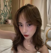 Louise BIG BUTT is NEW HERE!🫶🏻 - escort in Taipei