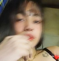 Louisebaby (Meet & Cam) - Transsexual escort in Manila