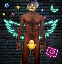 A shy little thing ( Boy Toy ) - Male escort in Colombo