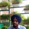 Lovedeep Singh - Acompañantes masculino in Ludhiana