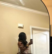 Loveline - escort in Kuwait
