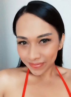 Lovely Gladys Shemale - Acompañantes transexual in Jakarta Photo 4 of 14