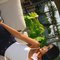 Lovely Irin 🇹🇭 - Transsexual escort in Bangkok Photo 4 of 30