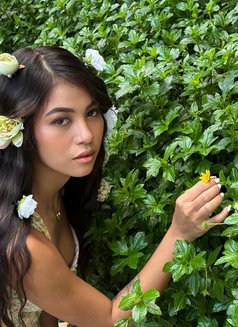 Lovely Kathy - adult performer in Makati City Photo 1 of 12