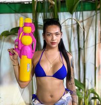 IM A KISSING MACHINE / CAM,CONTENT.MEET - Acompañantes transexual in Manila