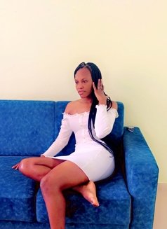 Lovet New Girl - puta in Doha Photo 1 of 1