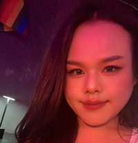 Loxy big Top - Transsexual escort in Bangkok