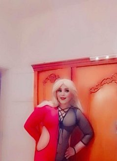 Lozaty - Transsexual escort in Cairo Photo 30 of 30