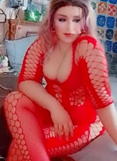Lozaty - Acompañantes transexual in Cairo Photo 1 of 17
