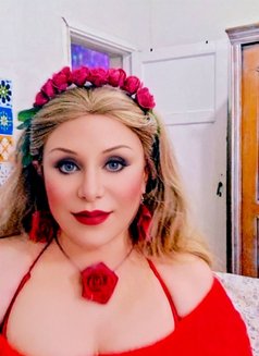 Lozaty - Transsexual escort in Cairo Photo 27 of 28