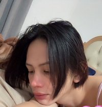 Lu Lu Big Dick - Transsexual escort in Riyadh
