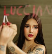 JUST LANDED LUCCIANAH GODDESS - escort in Chennai Photo 19 of 27