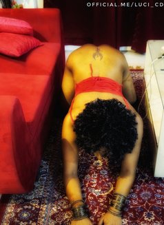 Luci - Transsexual escort in Kolkata Photo 14 of 14