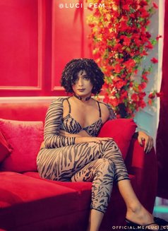 Luci - Acompañantes transexual in Kolkata Photo 13 of 17