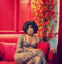 Luci - Transsexual escort in Kolkata
