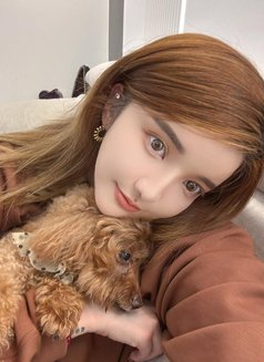 LUCIA - puta in Osaka Photo 12 of 13