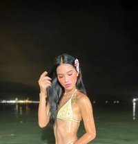 7inches Just Arrived - Acompañantes transexual in Bangkok