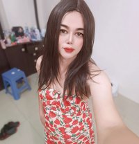 Lucky Big Cock - Transsexual escort in Doha