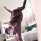 Lucky Jay - Acompañantes masculino in Bangkok