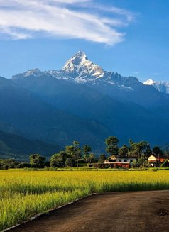 Lucky - Acompañantes masculino in Pokhara Photo 1 of 2
