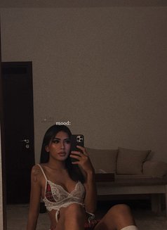 Lucky only for video call not meet - Transsexual escort in Doha Photo 1 of 6
