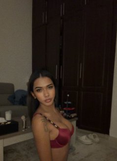 Lucky only for video call not meet - Transsexual escort in Doha Photo 3 of 6