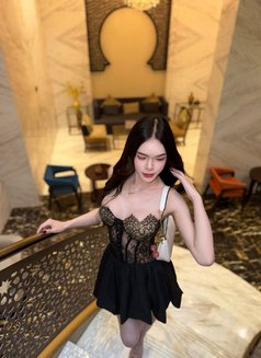 Lucky - Male escort in Bangkok Photo 3 of 12