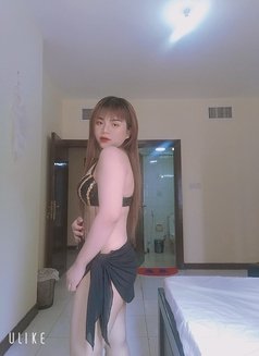 Lucky Thai Ladyboy in Abudhabi - Male escort in Abu Dhabi Photo 5 of 6
