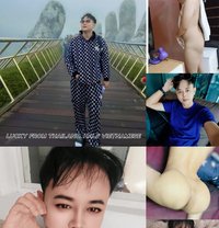 Lucky Thailand alf Vietnamese 🇹🇭🇻🇳 - Transsexual escort in Doha