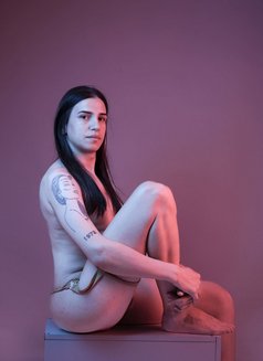 Luckyberk - Male escort in İstanbul Photo 2 of 12