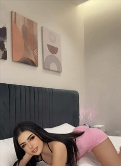 Lucy number 1 big cock good massage and - Transsexual escort in Khobar Photo 4 of 4